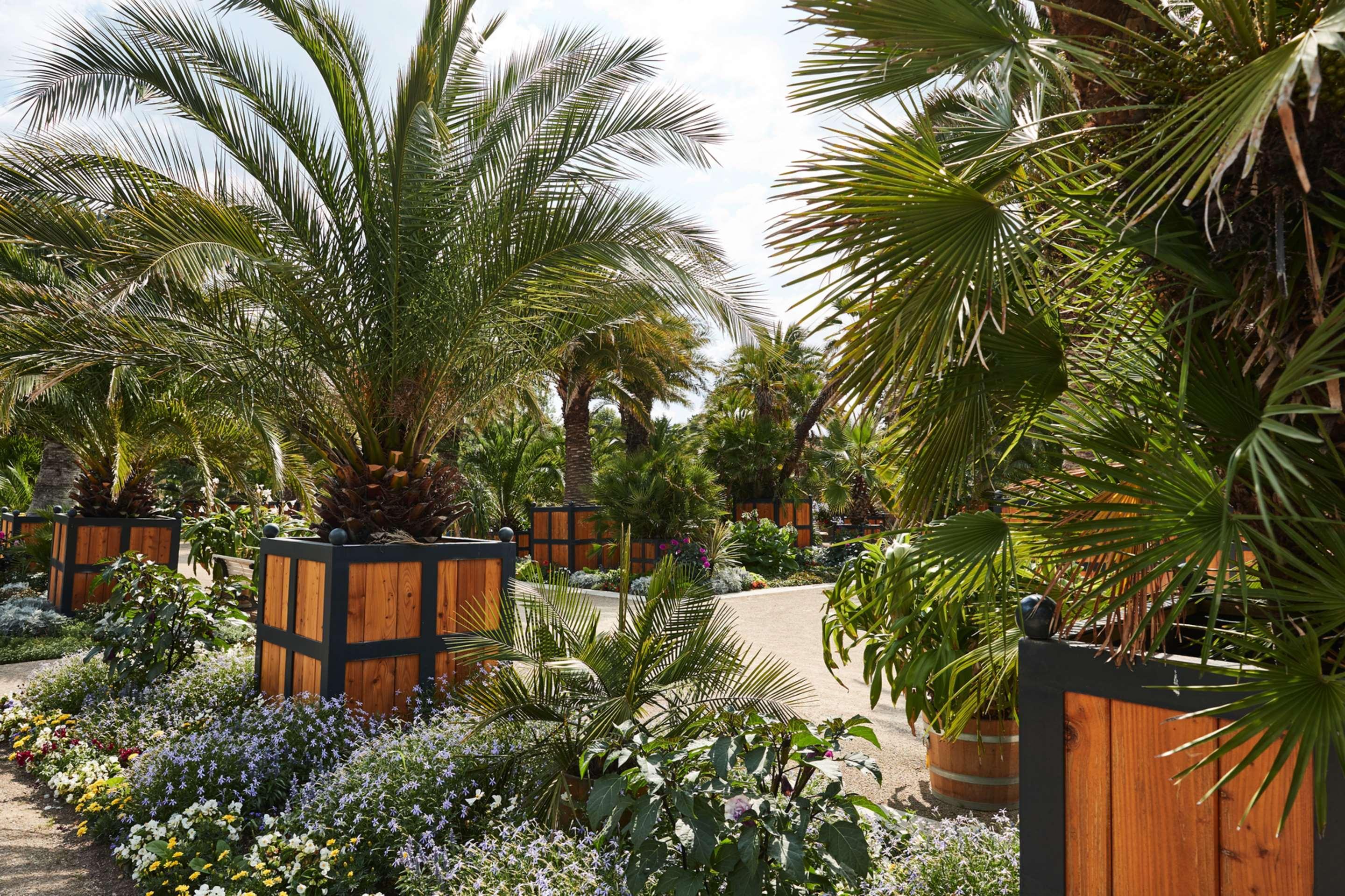 Steigenberger Hotel & Spa Bad Pyrmont Exterior foto The Palm House